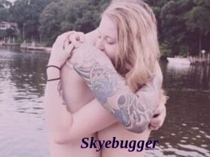 Skyebugger