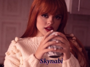 Skynabi