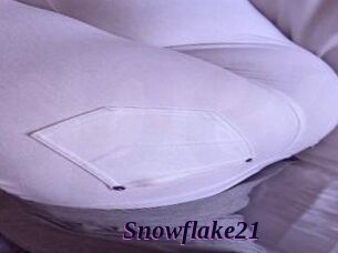 Snowflake21