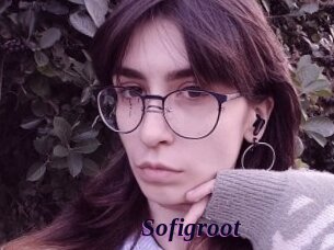 Sofigroot