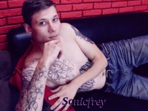 Sonicfrey