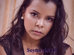 Soytucolor18