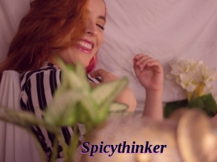 Spicythinker