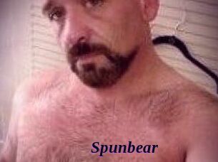 Spunbear