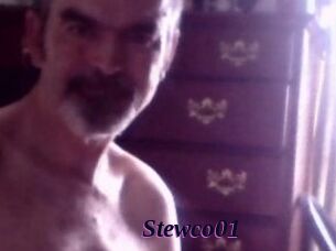 Stewco01
