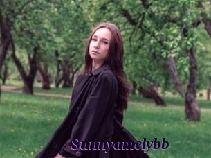 Sunnyamelybb