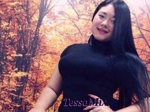 TessaMix
