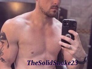 TheSolidSnake23 Spezial Sexcam