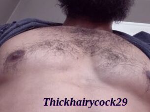Thickhairycock29