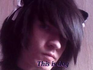 This_is_dog