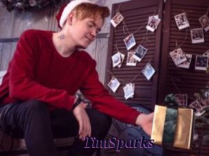 TimSparks