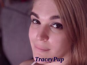 TraceyPup