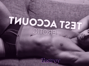 Testroy