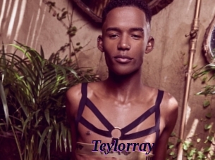teylorray Spezial Sexcam