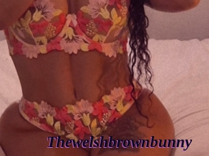 Thewelshbrownbunny