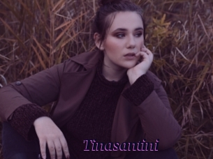 Tinasantini