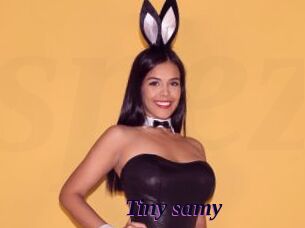 Tiny_samy
