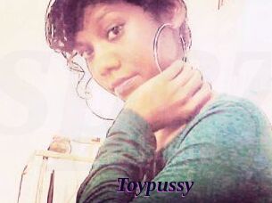 Toypussy