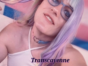Transcayenne