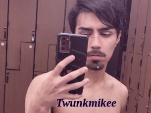 Twunkmikee