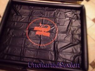 UnchartedSexion