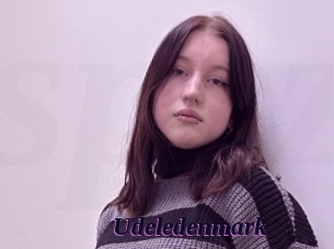 Udeledenmark