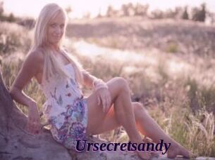 Ursecretsandy