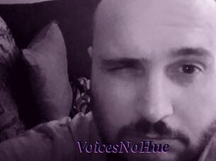 VoicesNoHue