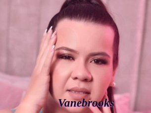 Vanebrooks