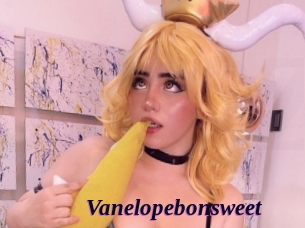 Vanelopebonsweet