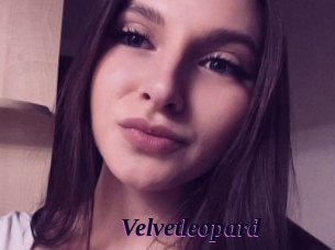 Velvetleopard