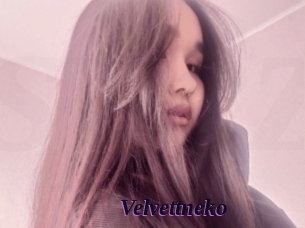 Velvettneko