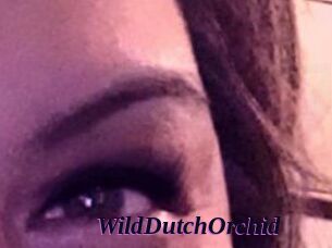 WildDutchOrchid
