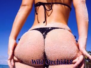 Wild_Orchid18
