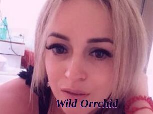 Wild_Orrchid