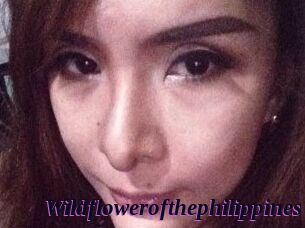Wildflowerofthephilippines