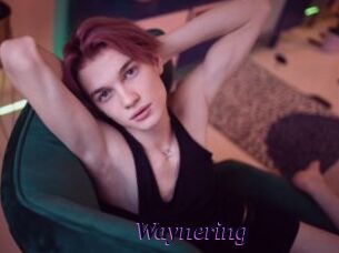 Waynering