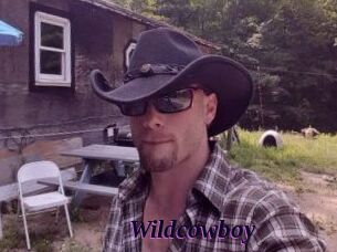 Wildcowboy