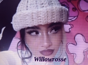 willowrosse Spezial Sexcam