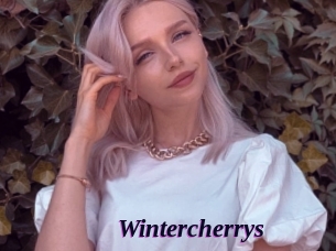 Wintercherrys