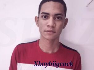 Xboybiigcock