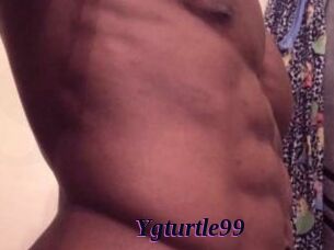 Ygturtle99