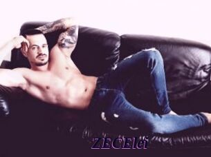 ZECElei