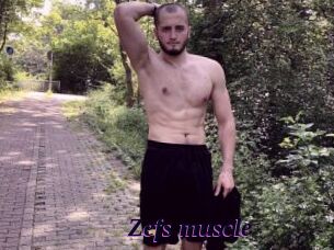 Zefs_muscle