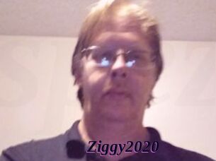 Ziggy2020