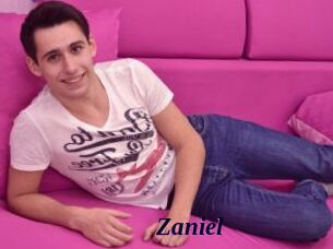 Zaniel