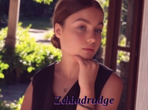 Zeldadrudge