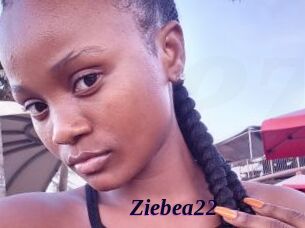 Ziebea22